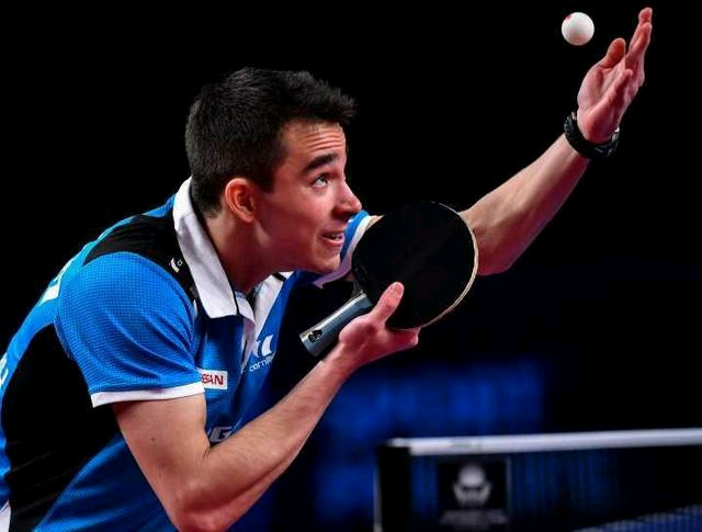 帕森斯后目 帕森斯后目